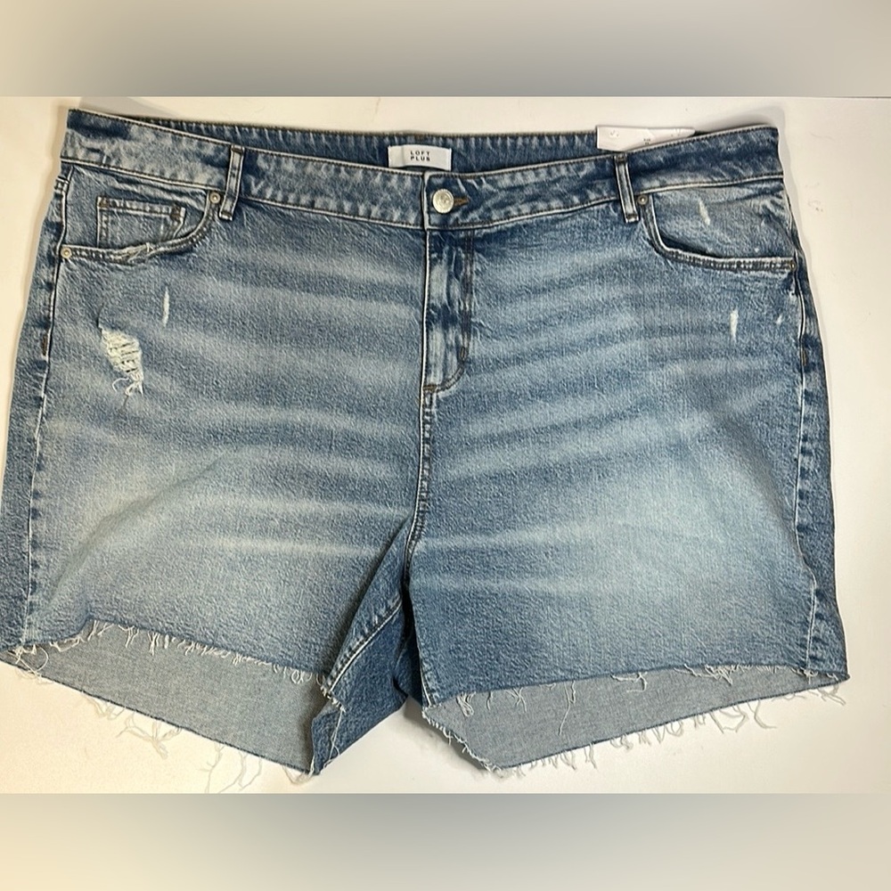 LOFT Plus Denim Blue Women's Shorts NWT